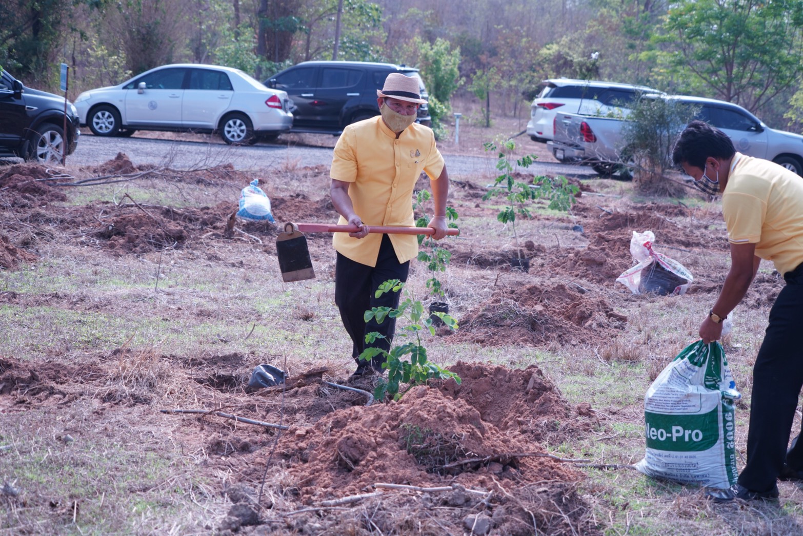 พช. ขับเคลื่อน 76 จังหวัดทั่วประเทศ ร่วม “โครงการปลูกป่าเฉลิมพระเกียรติ” เพื่อถวายเป็นพระราชกุศล