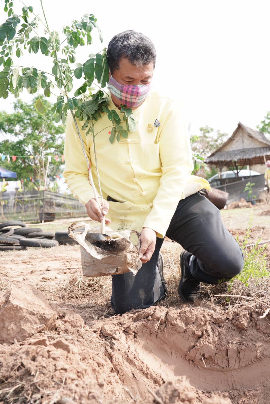 พช. ขับเคลื่อน 76 จังหวัดทั่วประเทศ ร่วม “โครงการปลูกป่าเฉลิมพระเกียรติ” เพื่อถวายเป็นพระราชกุศล