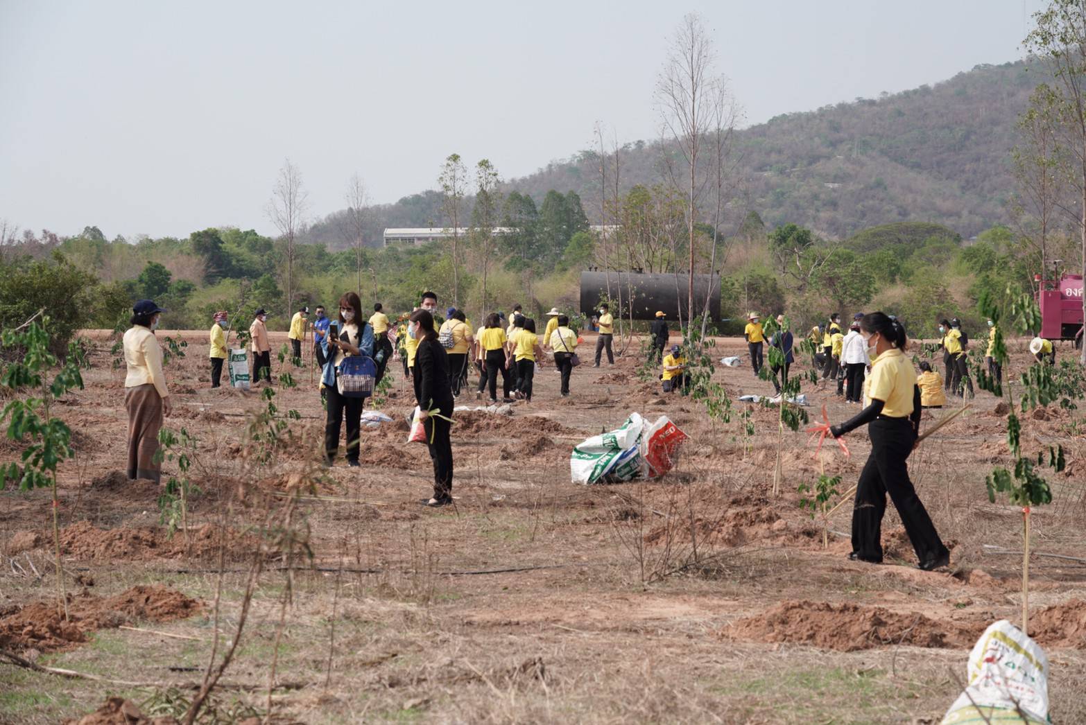 พช. ขับเคลื่อน 76 จังหวัดทั่วประเทศ ร่วม “โครงการปลูกป่าเฉลิมพระเกียรติ” เพื่อถวายเป็นพระราชกุศล