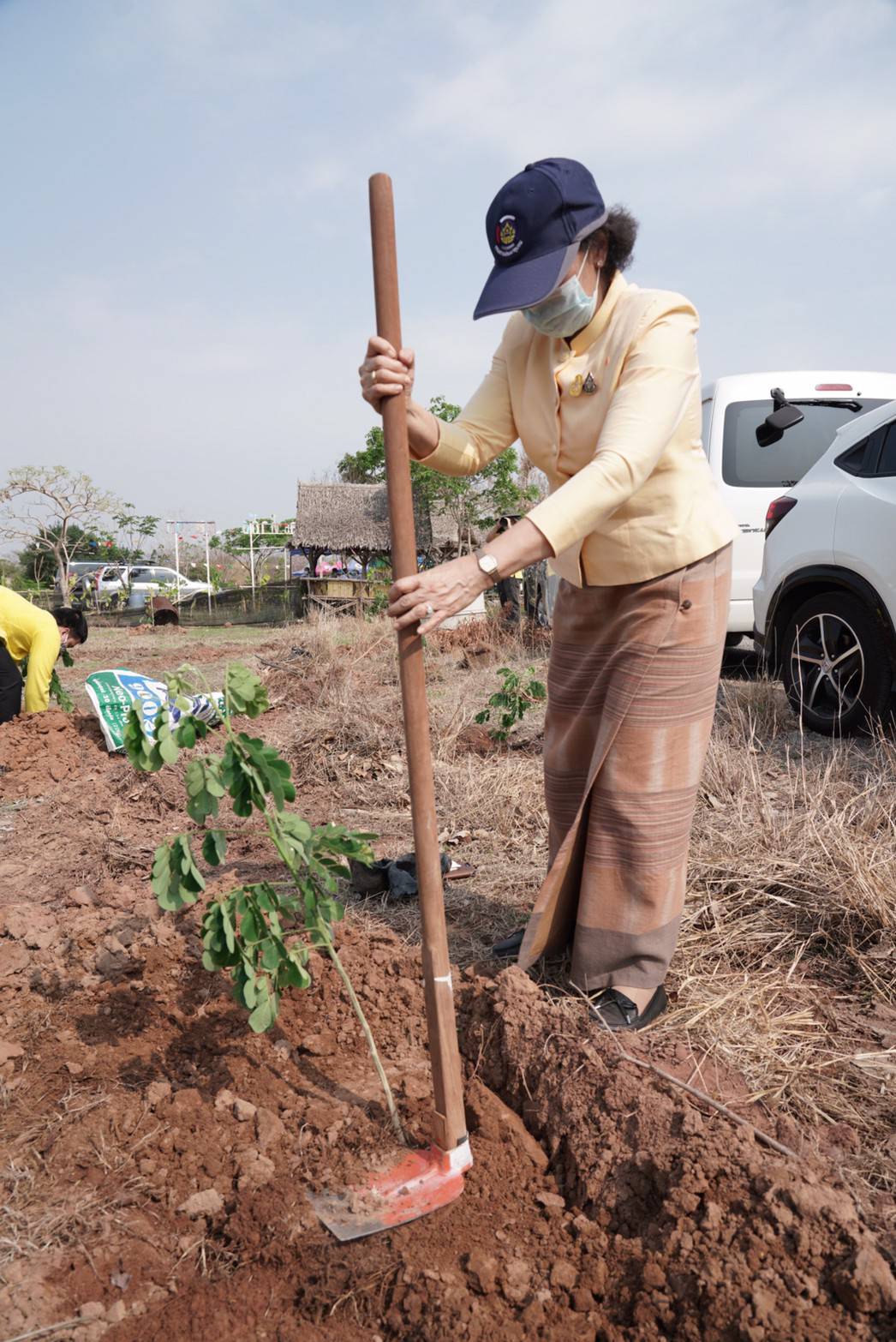 พช. ขับเคลื่อน 76 จังหวัดทั่วประเทศ ร่วม “โครงการปลูกป่าเฉลิมพระเกียรติ” เพื่อถวายเป็นพระราชกุศล