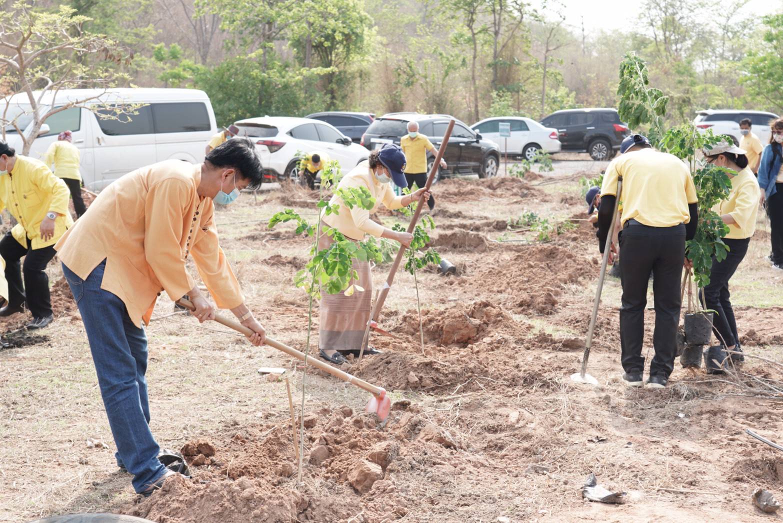 พช. ขับเคลื่อน 76 จังหวัดทั่วประเทศ ร่วม “โครงการปลูกป่าเฉลิมพระเกียรติ” เพื่อถวายเป็นพระราชกุศล