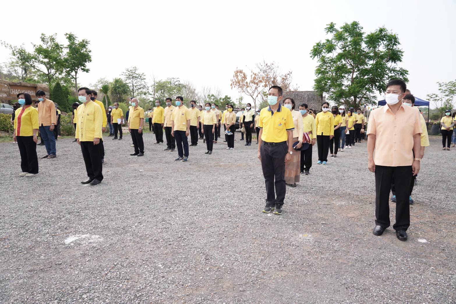 พช. ขับเคลื่อน 76 จังหวัดทั่วประเทศ ร่วม “โครงการปลูกป่าเฉลิมพระเกียรติ” เพื่อถวายเป็นพระราชกุศล