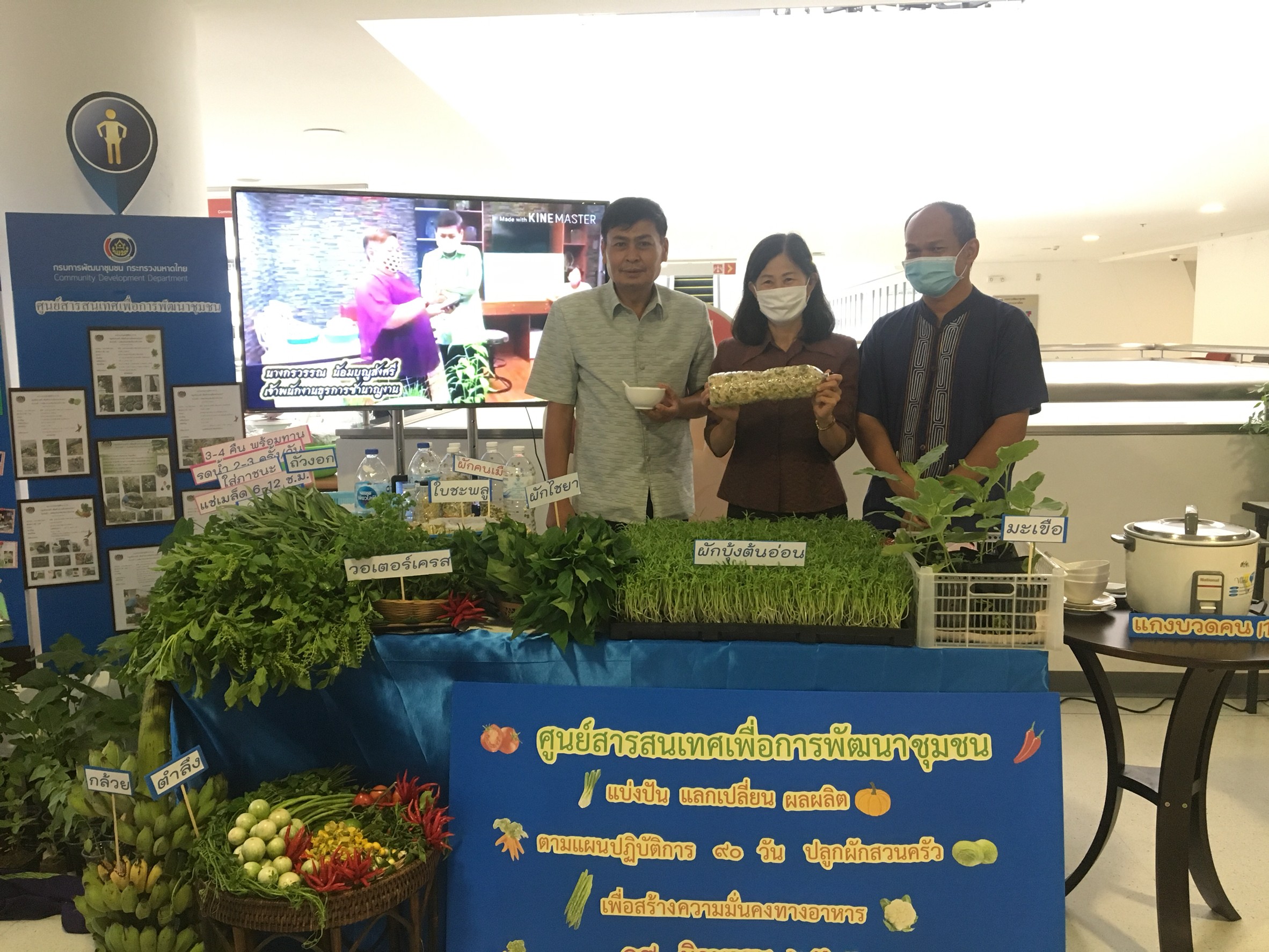 ศูนย์สารสนเทศเพื่อการพัฒนาชุมชน ร่วมจัดกิจกรรม “แบ่งปัน แลกเปลี่ยน ผลผลิต” ตามแผนปฏิบัติการปลูกผักสวนครัว ๙๐ วัน เพื่อสร้างความมั่นคงทางอาหาร