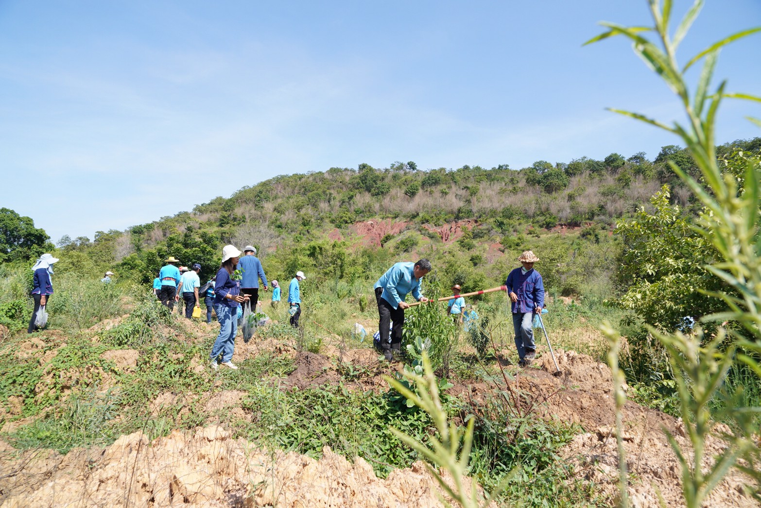 พช. – สภาสตรีฯ น้อมสำนึกในพระมหากรุณาธิคุณ จัดกิจกรรมรวมพลังอาสา ปลูกป่าเฉลิมพระเกียรติ สมเด็จพระนางเจ้าสิริกิติ์ พระบรมราชินีนาถ พระบรมราชชนนีพันปีหลวง เนื่องในโอกาสวันเฉลิมพระชนมพรรษา 12 สิงหาคม 2563