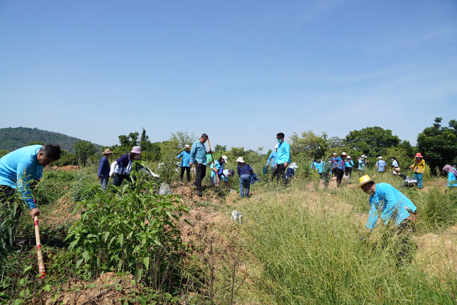 พช. – สภาสตรีฯ น้อมสำนึกในพระมหากรุณาธิคุณ จัดกิจกรรมรวมพลังอาสา ปลูกป่าเฉลิมพระเกียรติ สมเด็จพระนางเจ้าสิริกิติ์ พระบรมราชินีนาถ พระบรมราชชนนีพันปีหลวง เนื่องในโอกาสวันเฉลิมพระชนมพรรษา 12 สิงหาคม 2563