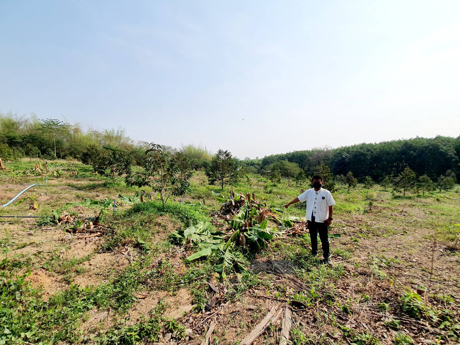 ศูนย์สารสนเทศฯ ร่วมลงพื้นที่เก็บข้อมูลกับครัวเรือนที่ได้รับผลกระทบช้างป่าเข้าพื้นที่ชุมชน อ.วังน้ำเย็น จ.สระแก้ว