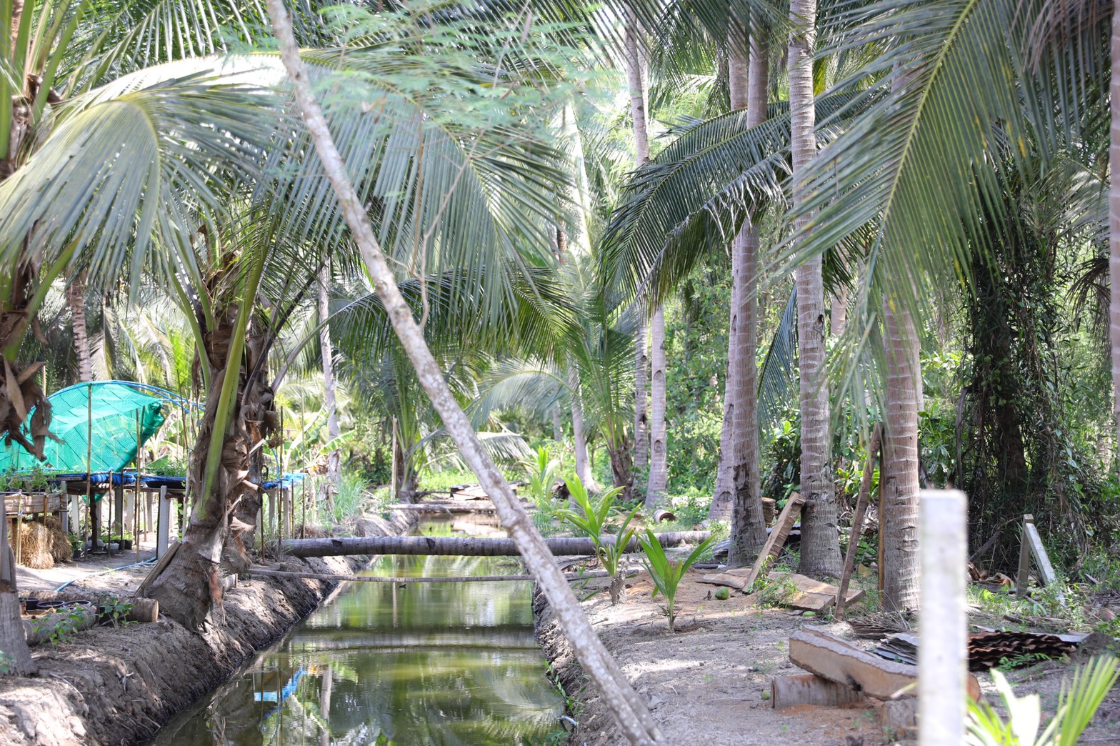 อธิบดี พช. นำทีม เยือนถิ่นแม่กลอง ลุยพื้นที่ต้นแบบการพัฒนาคุณภาพชีวิตตามหลักทฤษฎีใหม่ ประยุกต์สู่ “โคก หนอง นา พช.”