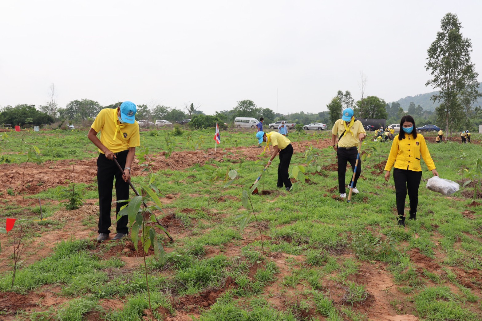 อธิบดี พช. ร่วมกับผู้ว่าราชการจังหวัดชัยนาท และภาคีเครือข่าย รวมพลังจิตอาสาปลูกป่าตาลและยางนา เฉลิมพระเกียรติ วันฉัตรมงคล 4 พฤษภาคม 2564