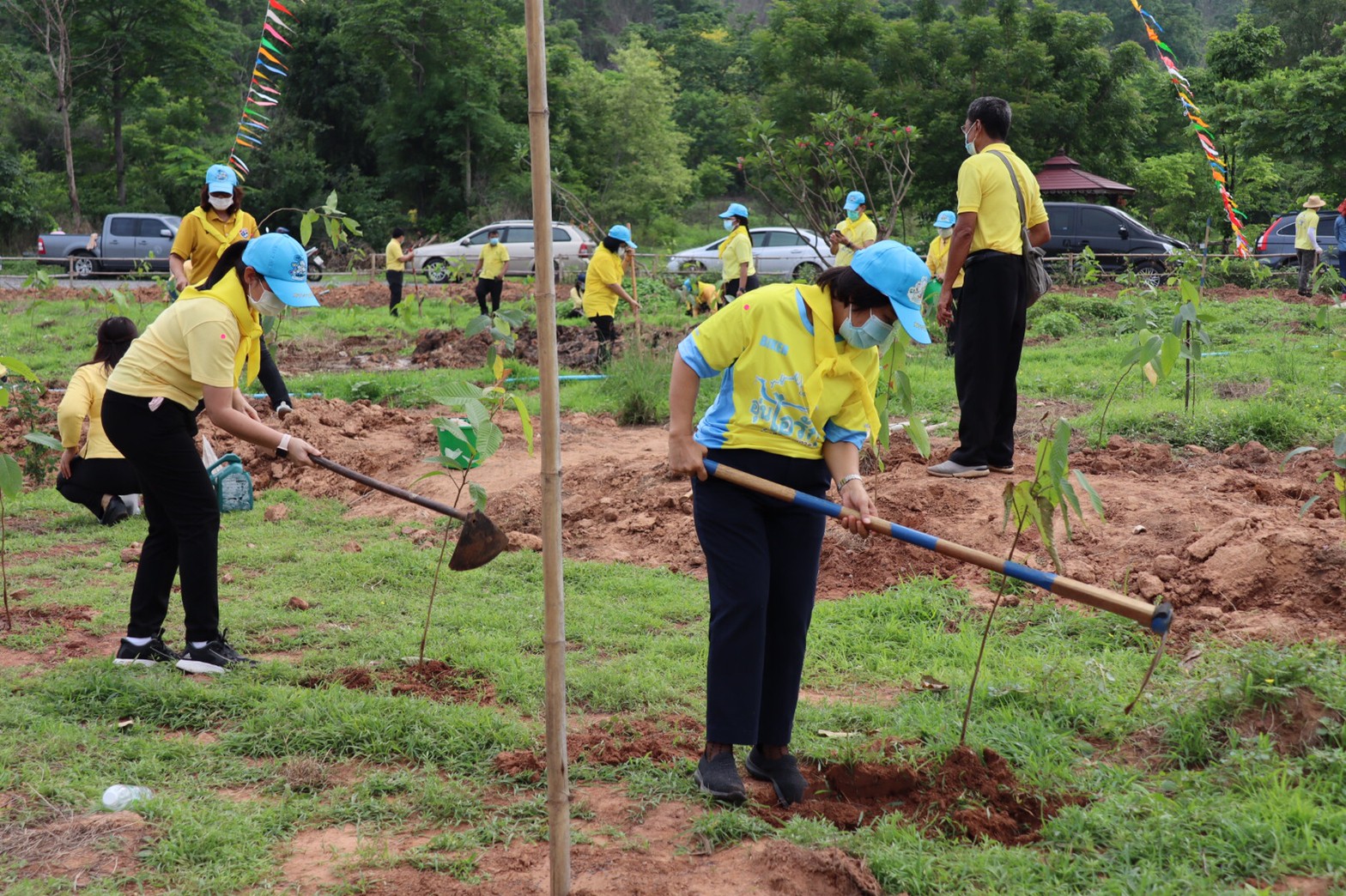 อธิบดี พช. ร่วมกับผู้ว่าราชการจังหวัดชัยนาท และภาคีเครือข่าย รวมพลังจิตอาสาปลูกป่าตาลและยางนา เฉลิมพระเกียรติ วันฉัตรมงคล 4 พฤษภาคม 2564