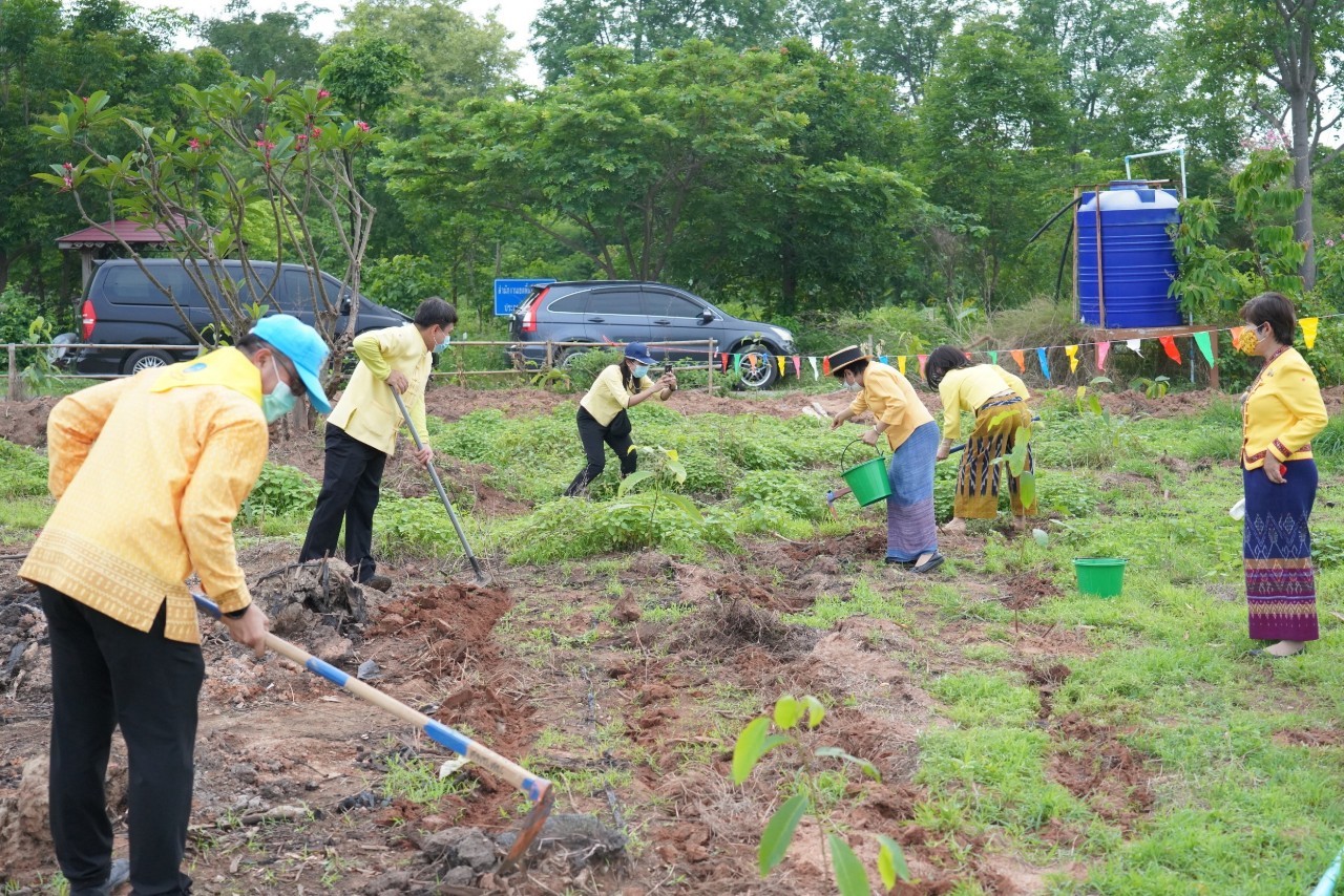 อธิบดี พช. ร่วมกับผู้ว่าราชการจังหวัดชัยนาท และภาคีเครือข่าย รวมพลังจิตอาสาปลูกป่าตาลและยางนา เฉลิมพระเกียรติ วันฉัตรมงคล 4 พฤษภาคม 2564