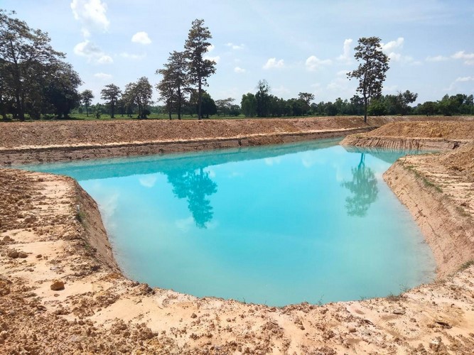 โคก หนอง นา พช. ฉลุย เดินหน้ากว่า 42% ขับเคลื่อนพื้นที่ต้นแบบ พัฒนาคุณภาพชีวิตอย่างยั่งยืน