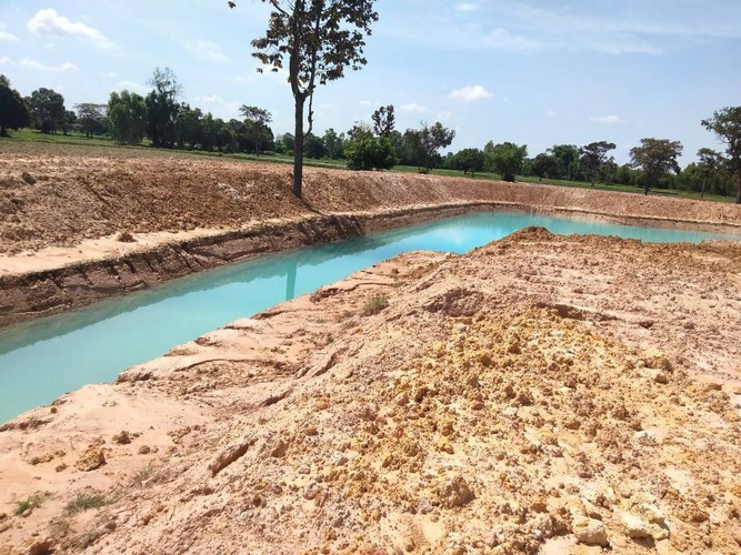 โคก หนอง นา พช. ฉลุย เดินหน้ากว่า 42% ขับเคลื่อนพื้นที่ต้นแบบ พัฒนาคุณภาพชีวิตอย่างยั่งยืน