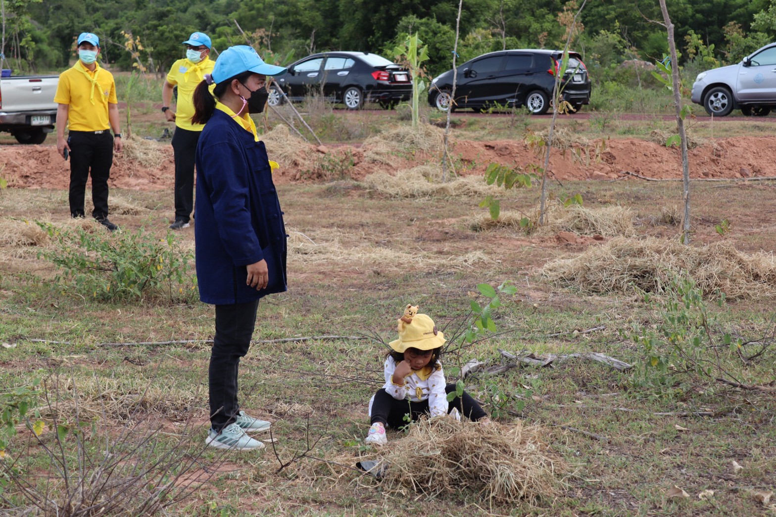 พช. รวมพลังจิตอาสาปลูกป่าเขาขยาย เฉลิมพระเกียรติ เนื่องในวันคล้ายวันเฉลิมพระชนมพรรษา สมเด็จพระนางเจ้าสุทิดา พัชรสุธาพิมลลักษณ พระบรมราชินี