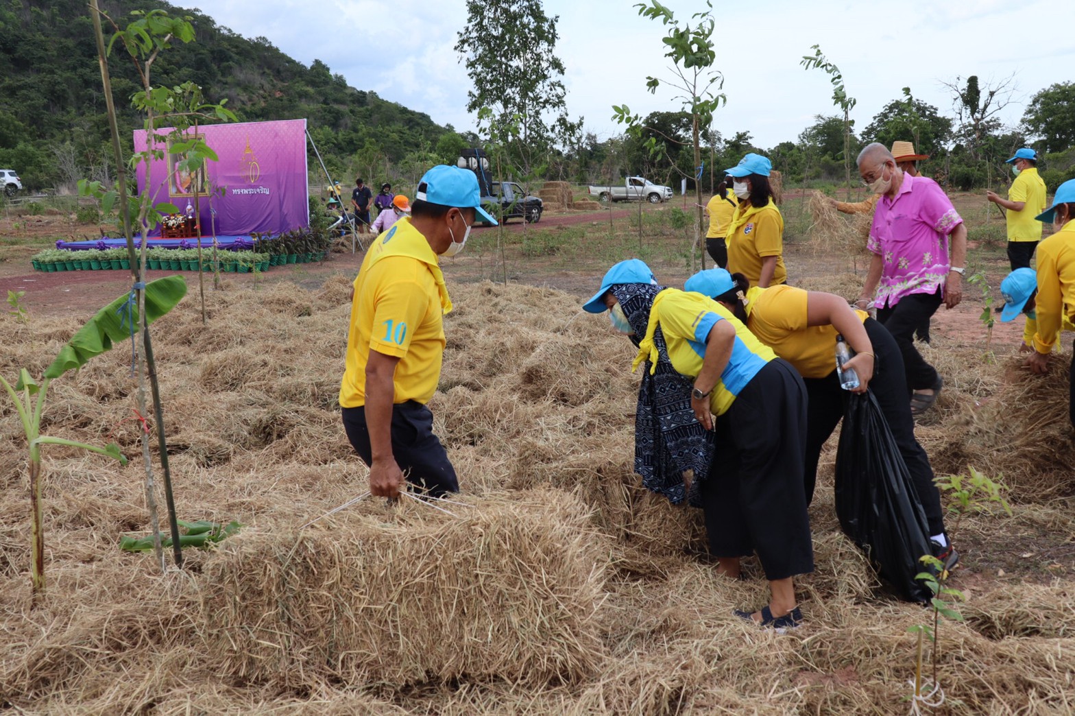พช. รวมพลังจิตอาสาปลูกป่าเขาขยาย เฉลิมพระเกียรติ เนื่องในวันคล้ายวันเฉลิมพระชนมพรรษา สมเด็จพระนางเจ้าสุทิดา พัชรสุธาพิมลลักษณ พระบรมราชินี
