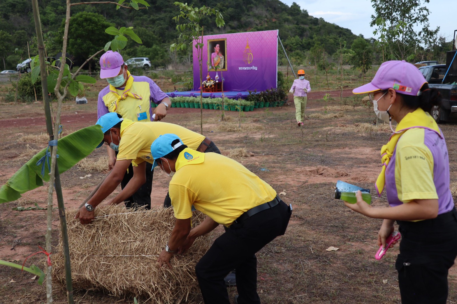 พช. รวมพลังจิตอาสาปลูกป่าเขาขยาย เฉลิมพระเกียรติ เนื่องในวันคล้ายวันเฉลิมพระชนมพรรษา สมเด็จพระนางเจ้าสุทิดา พัชรสุธาพิมลลักษณ พระบรมราชินี