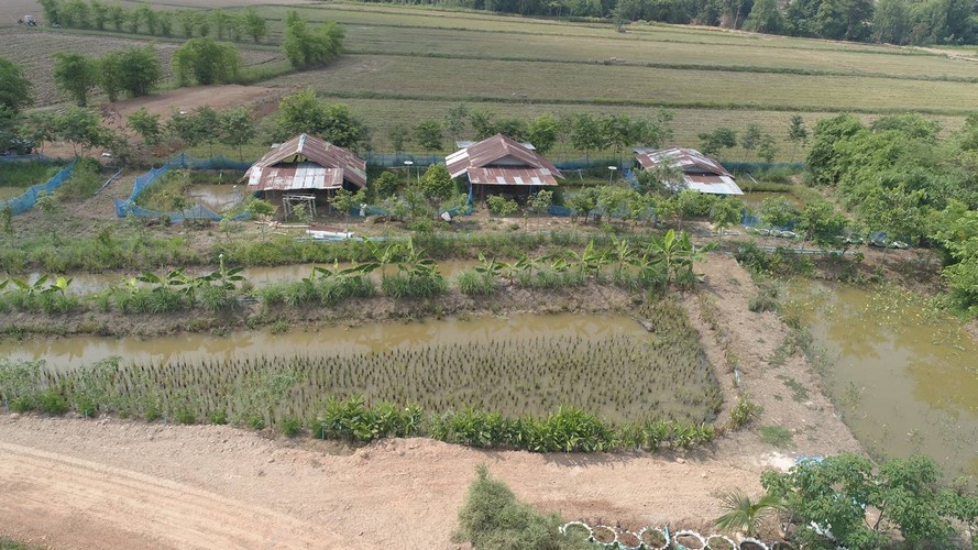 โคก หนอง นา พช. ฉลุย เดินหน้ากว่า 42% ขับเคลื่อนพื้นที่ต้นแบบ พัฒนาคุณภาพชีวิตอย่างยั่งยืน