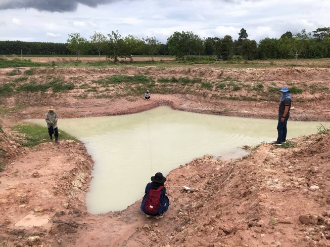 โคก หนอง นา พช. ฉลุย เดินหน้ากว่า 42% ขับเคลื่อนพื้นที่ต้นแบบ พัฒนาคุณภาพชีวิตอย่างยั่งยืน