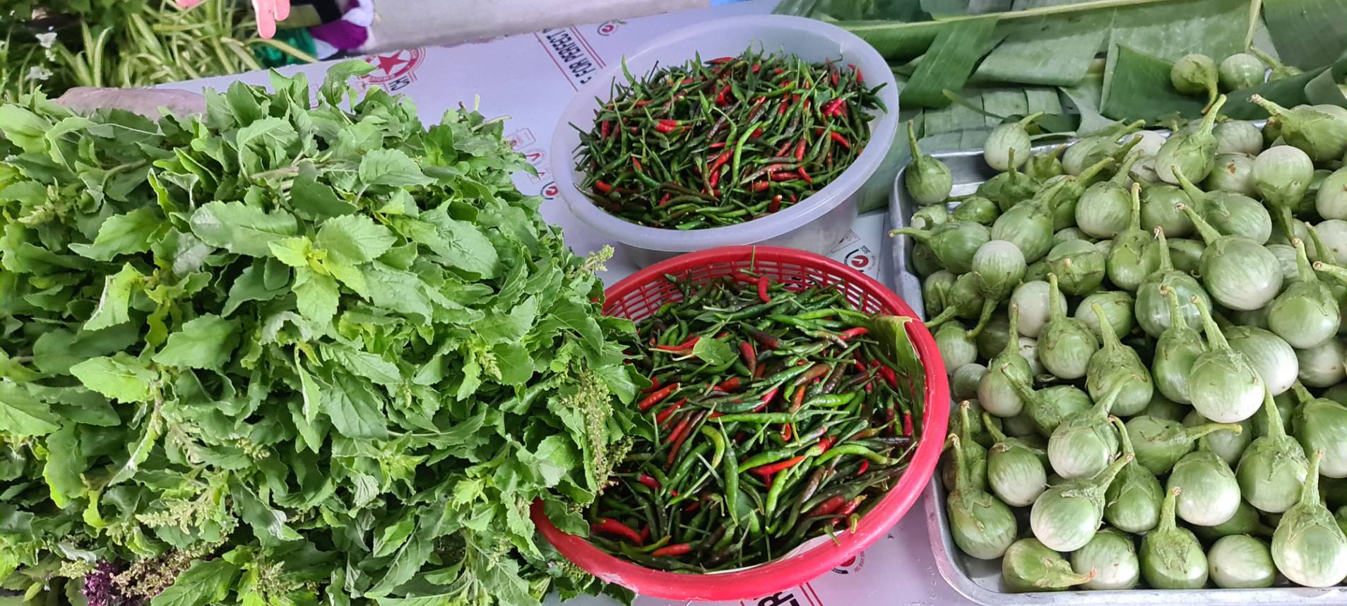 พช. เดินหน้า “โรงครัวปันสุข สู้ภัยโควิด-19” เพื่อน้อมถวายเป็นพระราชกุศล เนื่องในโอกาสวันเฉลิมพระชนมพรรษา สมเด็จพระนางเจ้าสุทิดา พัชรสุธาพิมลลักษณ พระบรมราชินี 3 มิถุนายน 2564 อย่างต่อเนื่อง