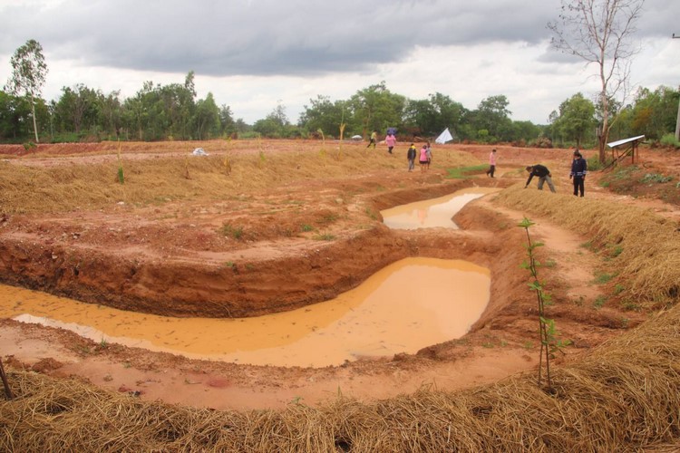 โคก หนอง นา พช. ฉลุย เดินหน้ากว่า 42% ขับเคลื่อนพื้นที่ต้นแบบ พัฒนาคุณภาพชีวิตอย่างยั่งยืน