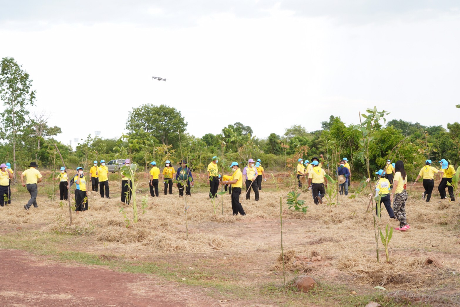 พช. รวมพลังจิตอาสาปลูกป่าเขาขยาย เฉลิมพระเกียรติ เนื่องในวันคล้ายวันเฉลิมพระชนมพรรษา สมเด็จพระนางเจ้าสุทิดา พัชรสุธาพิมลลักษณ พระบรมราชินี