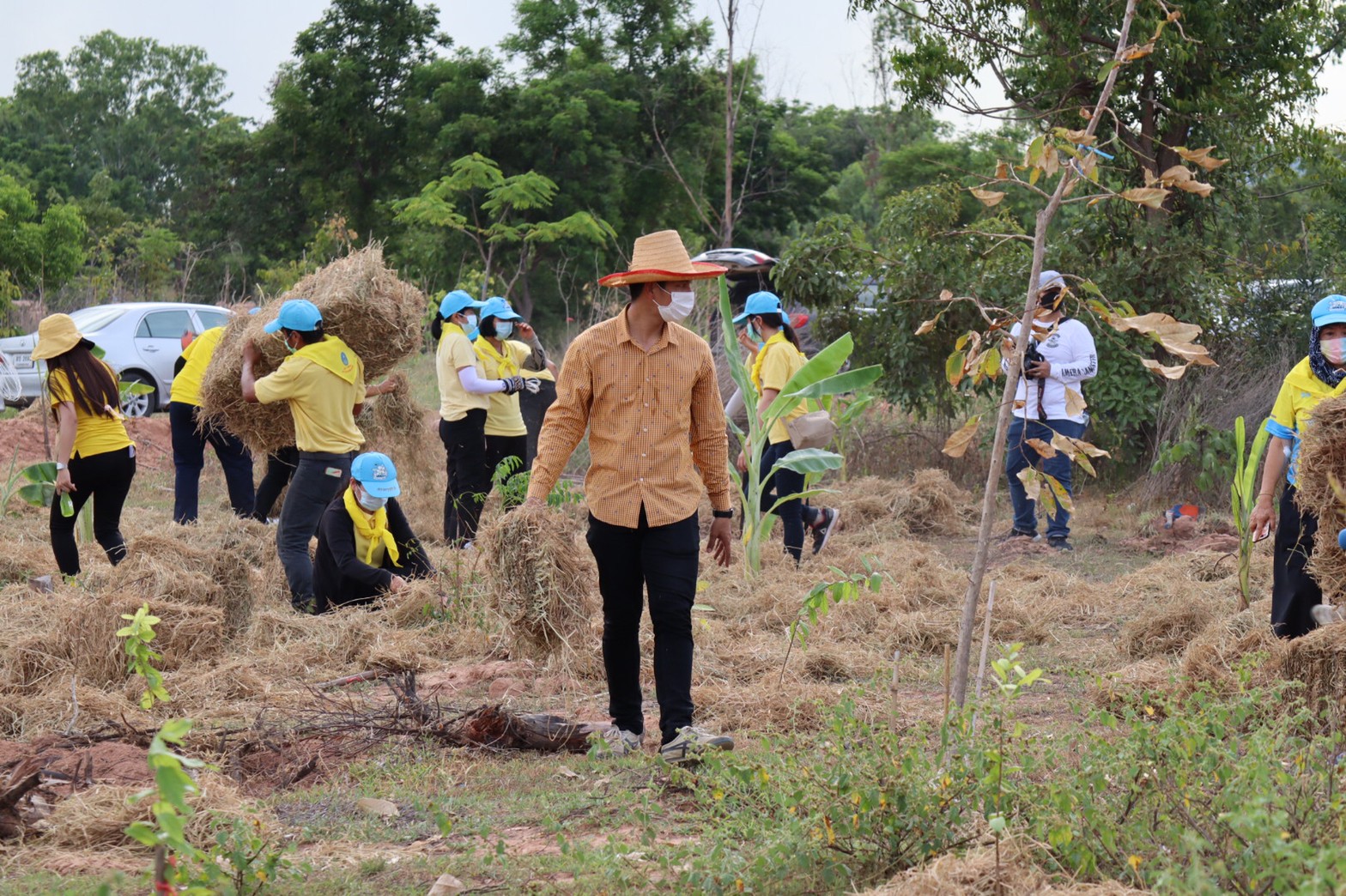 พช. รวมพลังจิตอาสาปลูกป่าเขาขยาย เฉลิมพระเกียรติ เนื่องในวันคล้ายวันเฉลิมพระชนมพรรษา สมเด็จพระนางเจ้าสุทิดา พัชรสุธาพิมลลักษณ พระบรมราชินี