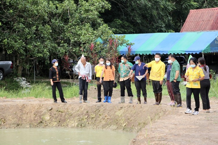 โคก หนอง นา พช. ฉลุย เดินหน้ากว่า 42% ขับเคลื่อนพื้นที่ต้นแบบ พัฒนาคุณภาพชีวิตอย่างยั่งยืน