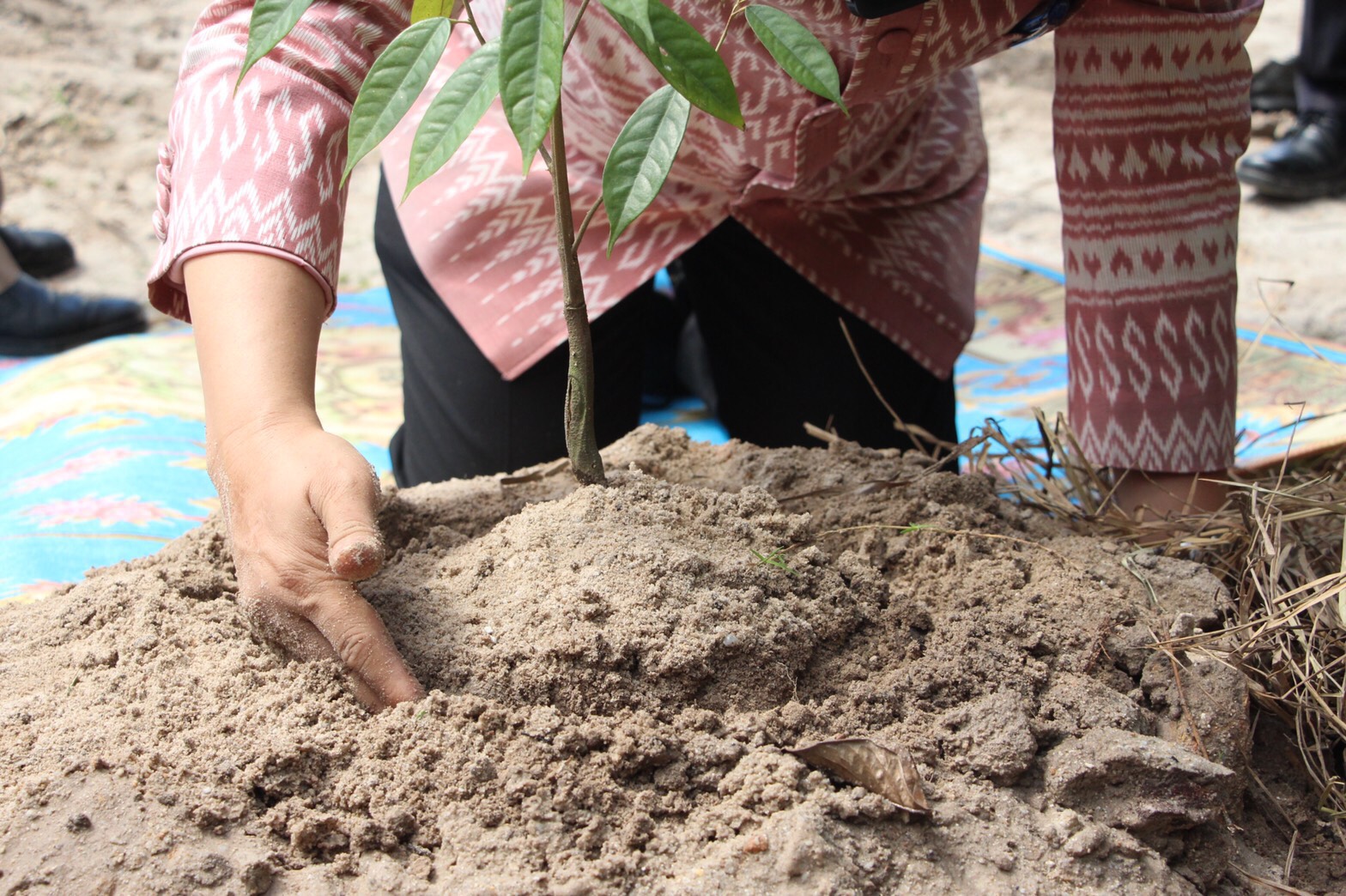 อธิบดี พช. ลงพื้นที่ฟังเสียงประชาชน พร้อมตรวจเยี่ยม “โคก หนอง นา พช.” อำเภอพรหมคีรี ท้องที่ท้องถิ่นขานรับ การขับเคลื่อนต้นแบบการพัฒนาคุณภาพชีวิต