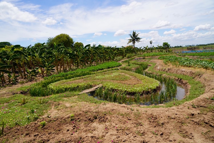 โคก หนอง นา พช. ฉลุย เดินหน้ากว่า 42% ขับเคลื่อนพื้นที่ต้นแบบ พัฒนาคุณภาพชีวิตอย่างยั่งยืน