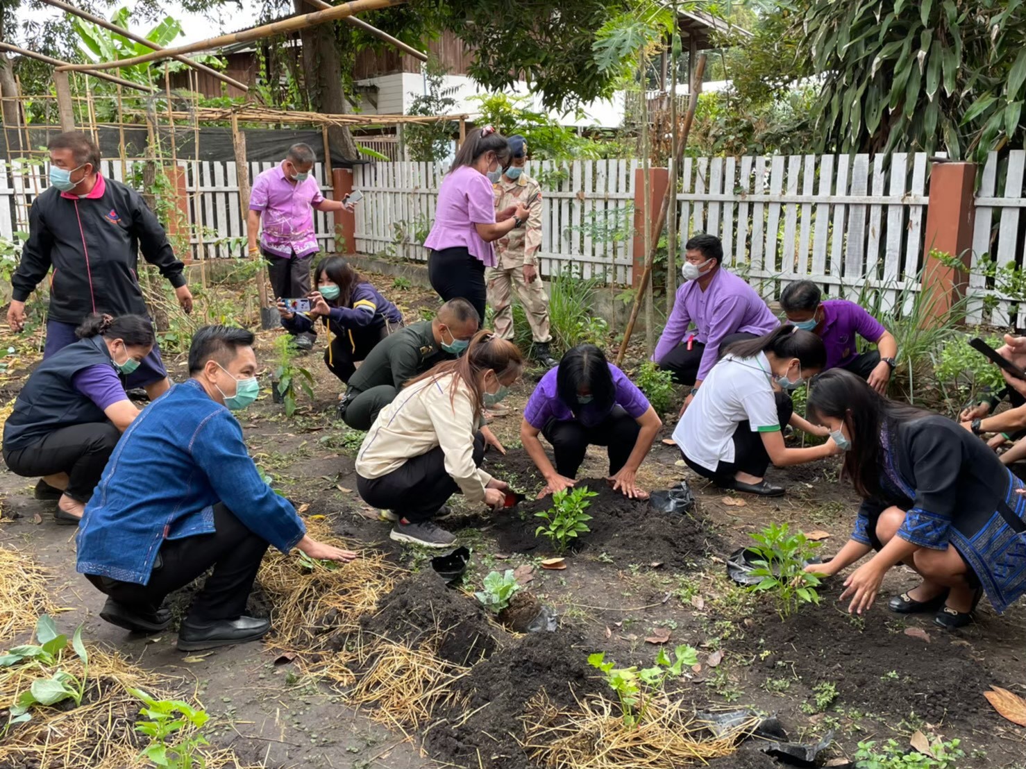 อธิบดีพช.เดินหน้าต่อรอบ 2 (ต่อเนื่อง) ชวนชาวไทยปลูกกระชาย-ฟ้าทลายโจร ขยายผลการดำเนินงานโครงการปลูกผักสวนครัว ด้วยพืชสมุนไพรไทย เพื่อป้องกันโควิด-19 แก่พี่น้องประชาชนทั่วประเทศ