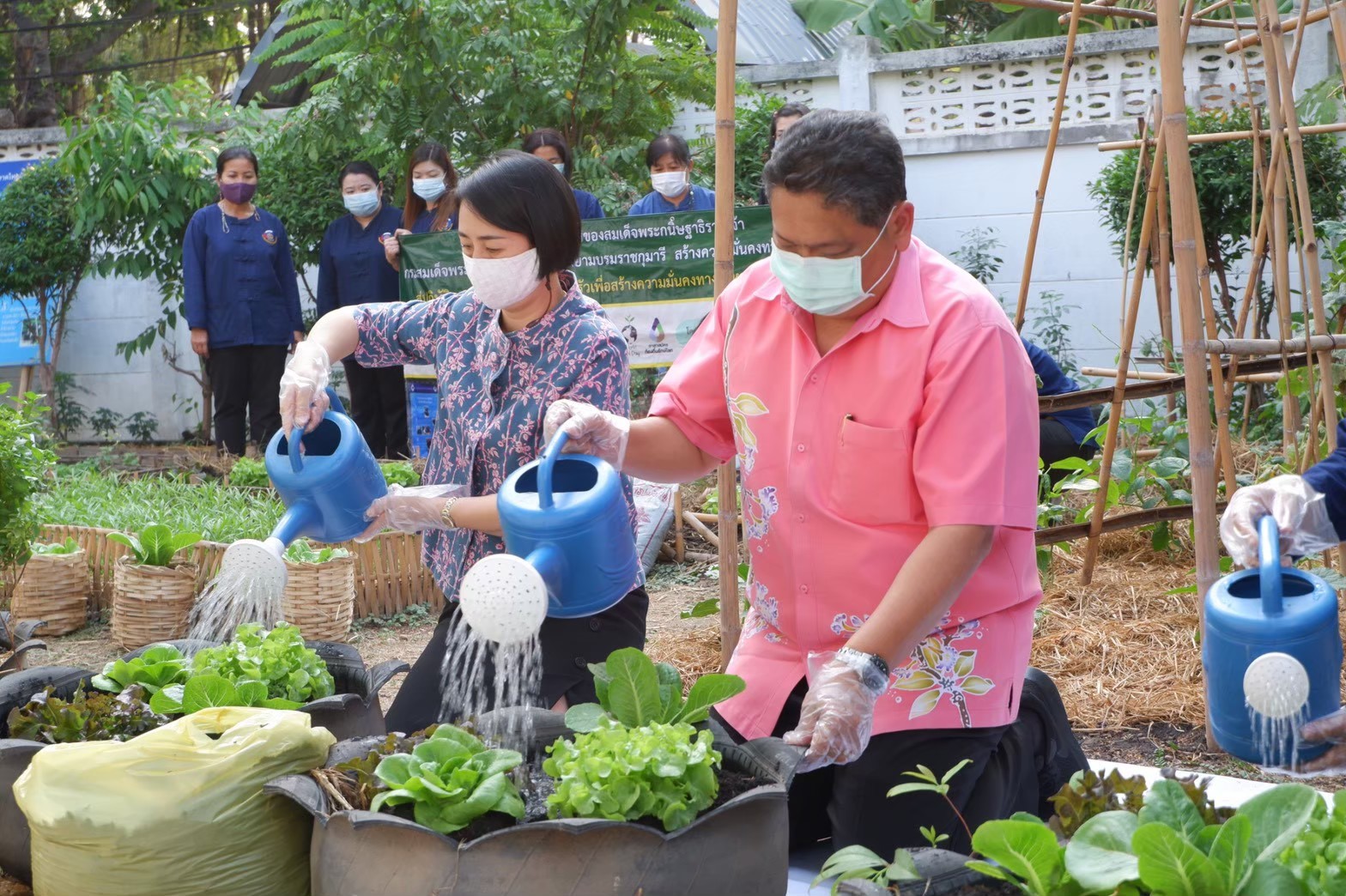 อธิบดีพช.เดินหน้าต่อรอบ 2 (ต่อเนื่อง) ชวนชาวไทยปลูกกระชาย-ฟ้าทลายโจร ขยายผลการดำเนินงานโครงการปลูกผักสวนครัว ด้วยพืชสมุนไพรไทย เพื่อป้องกันโควิด-19 แก่พี่น้องประชาชนทั่วประเทศ
