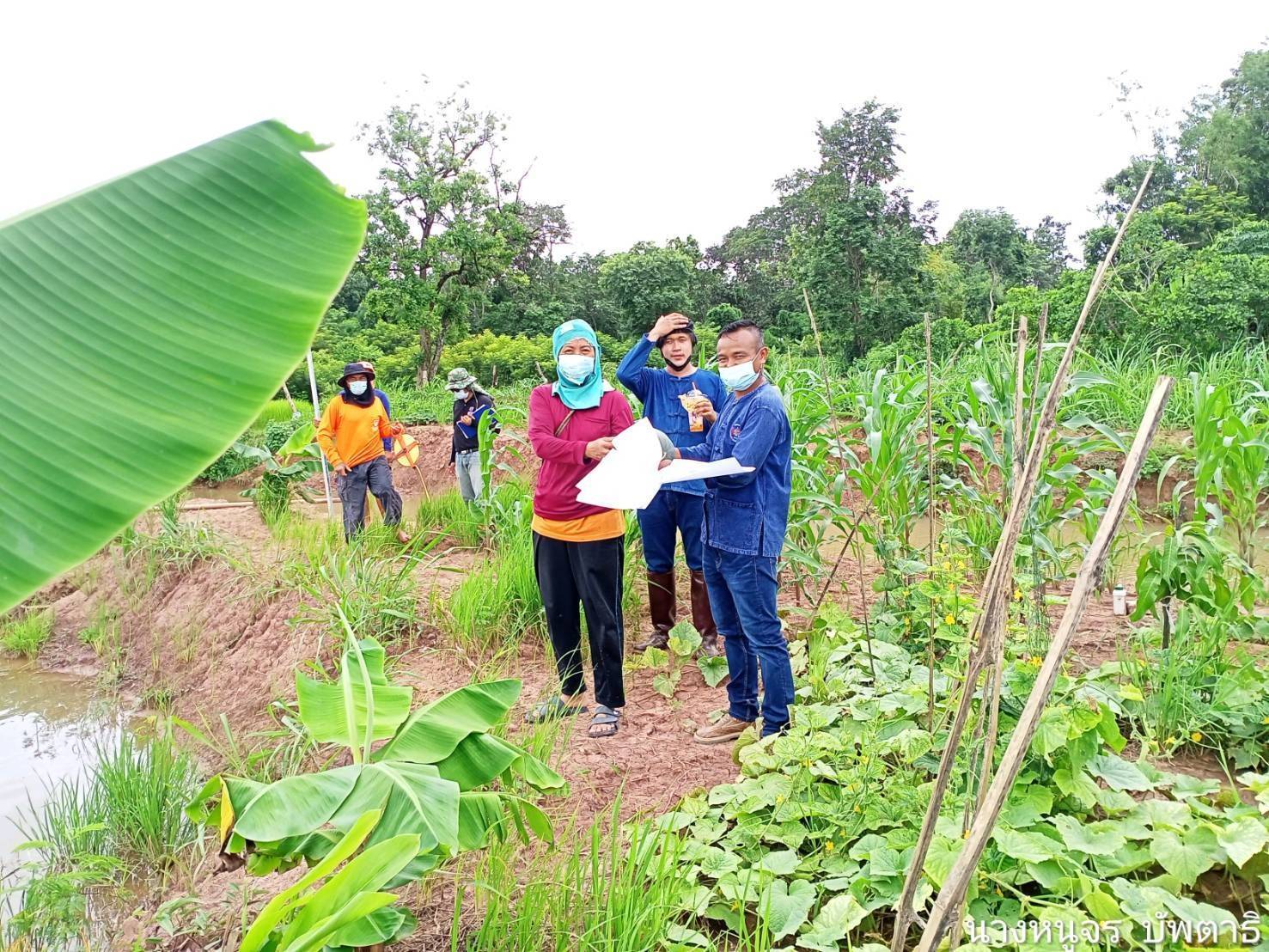อธิบดี พช. กำชับทุกจังหวัด เร่งรัดการจัดซื้อจัดจ้างโครงการ “โคก หนอง นา โมเดล” ย้ำต้องโปร่งใส ตรวจสอบได้ เพื่อให้เกิดประสิทธิภาพ และประโยชน์สูงสุดต่อพี่น้องประชาชน