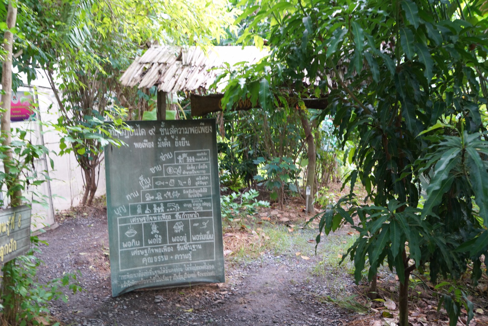 อธิบดี พช. ลงพื้นที่ตรวจเยี่ยม“โคก หนอง นา พช.” อำเภอคลองหลวง ต้นแบบการพัฒนาคุณภาพชีวิต