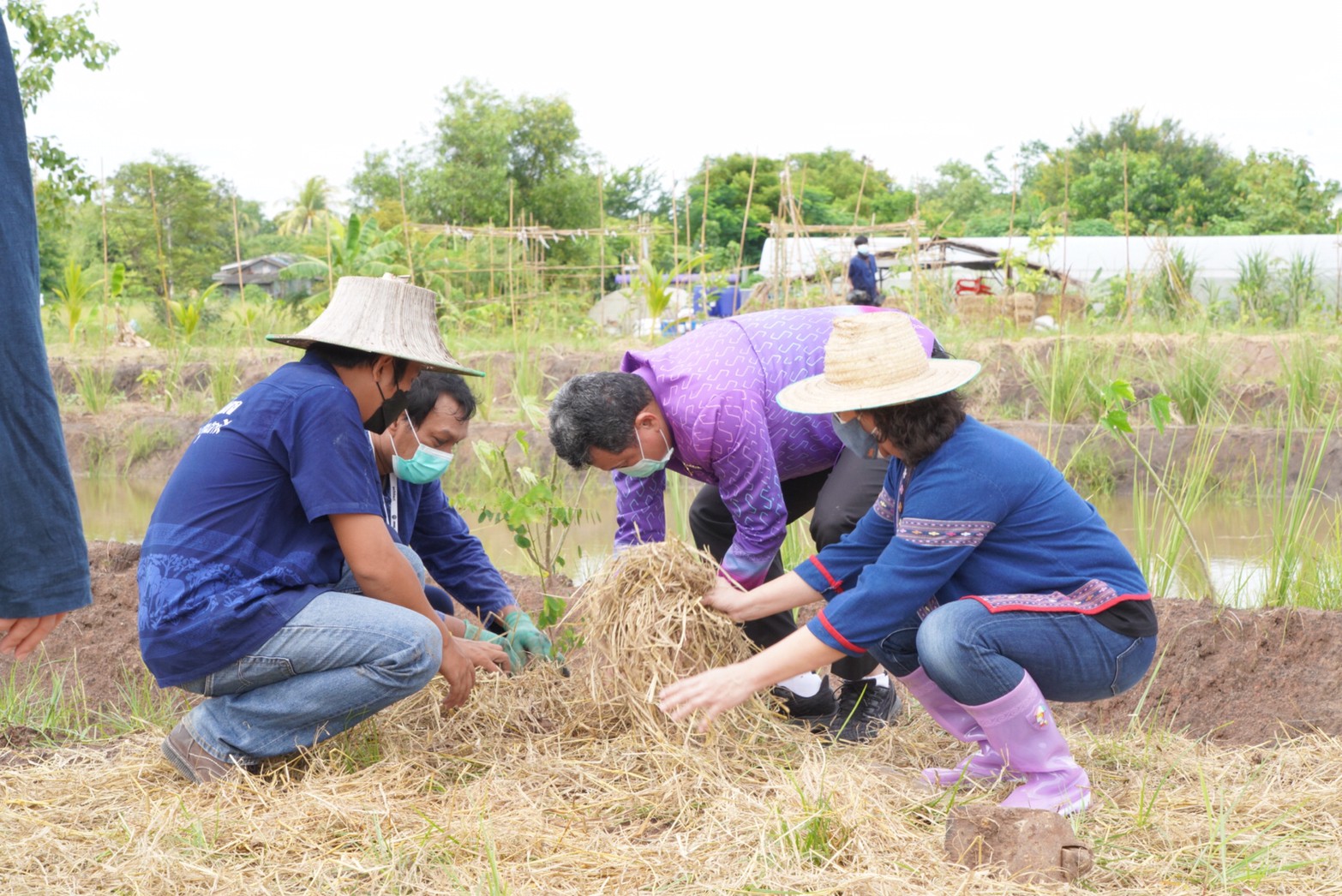 อธิบดี พช. ลงพื้นที่ตรวจเยี่ยม“โคก หนอง นา พช.” อำเภอคลองหลวง ต้นแบบการพัฒนาคุณภาพชีวิต