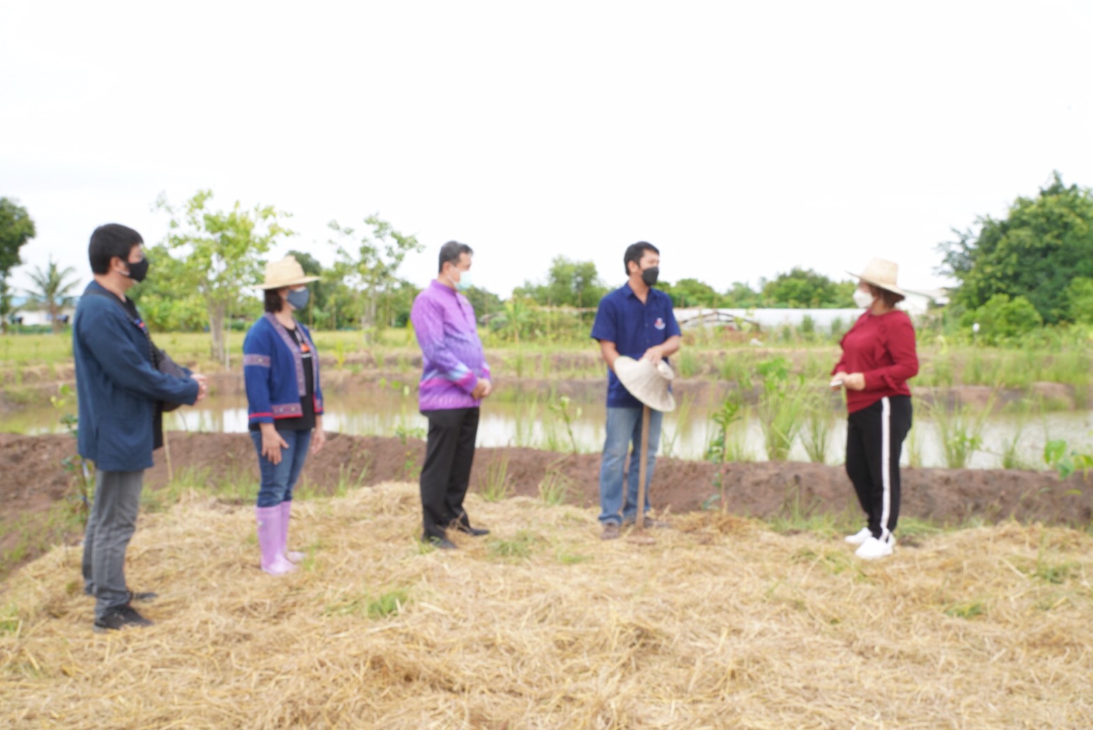 อธิบดี พช. ลงพื้นที่ตรวจเยี่ยม“โคก หนอง นา พช.” อำเภอคลองหลวง ต้นแบบการพัฒนาคุณภาพชีวิต