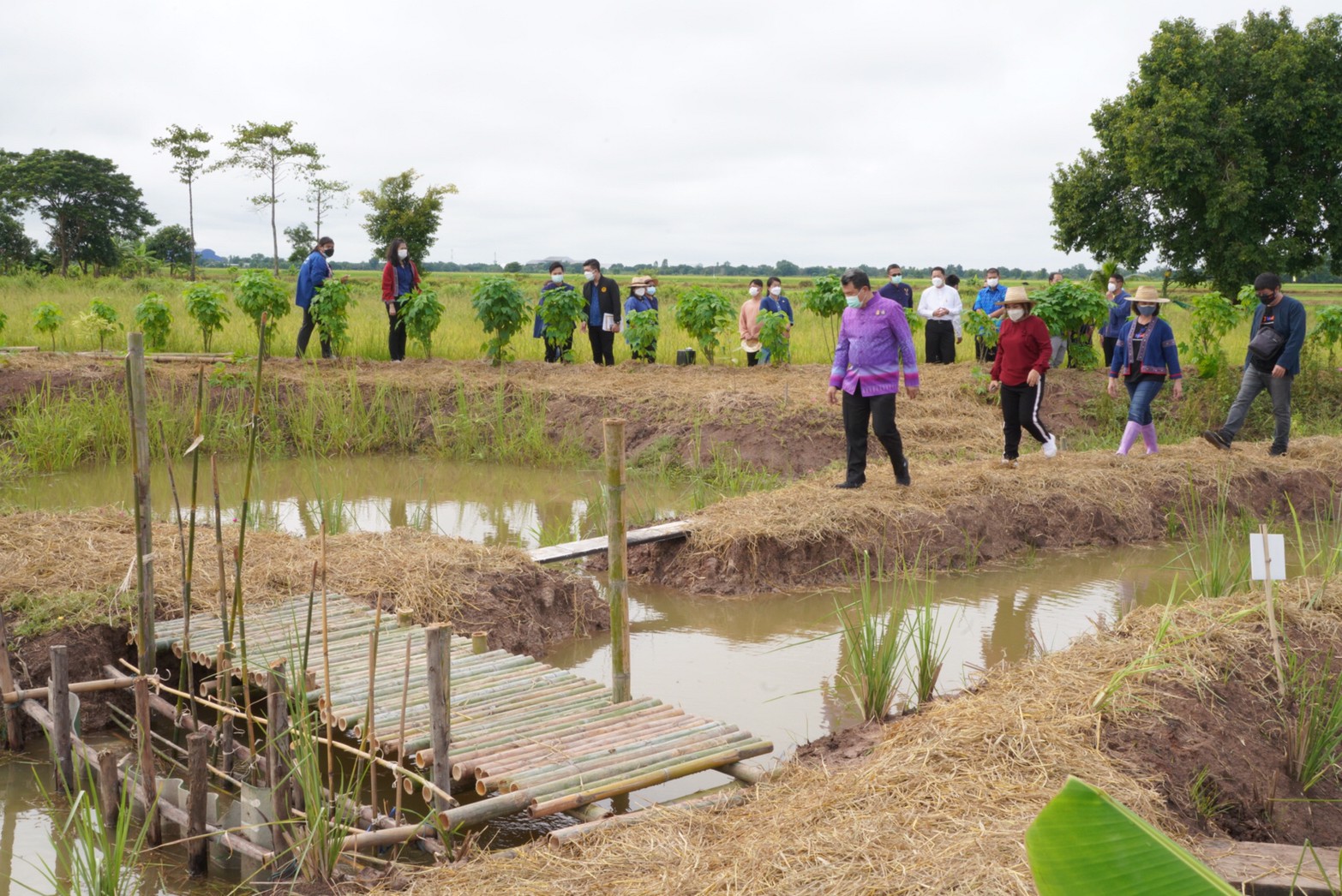 อธิบดี พช. ลงพื้นที่ตรวจเยี่ยม“โคก หนอง นา พช.” อำเภอคลองหลวง ต้นแบบการพัฒนาคุณภาพชีวิต
