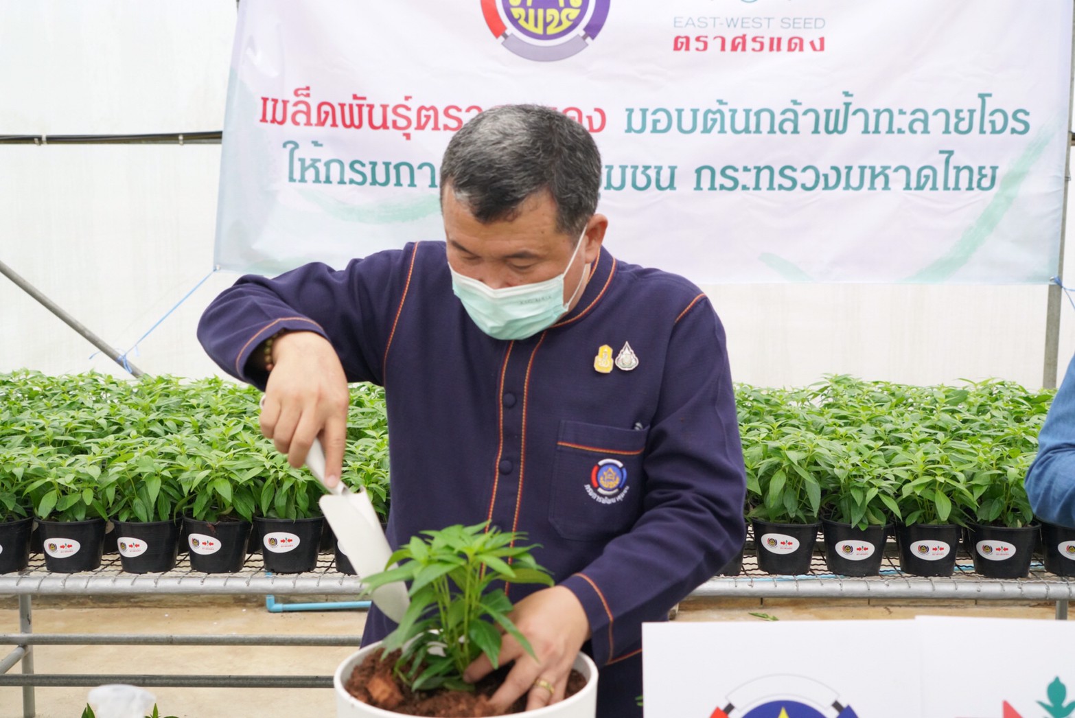 พช. จับมือ อีสท์ เวสท์ ซีด รับมอบ “ฟ้าทะลายโจร” สู้โรค ป้องกันโควิด-19 ควบคู่การรักษาแพทย์แผนปัจจุบัน