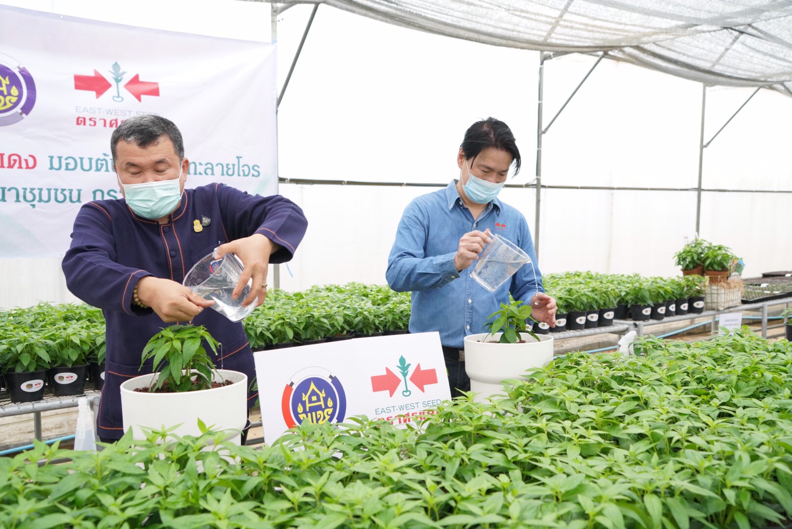 พช. จับมือ อีสท์ เวสท์ ซีด รับมอบ “ฟ้าทะลายโจร” สู้โรค ป้องกันโควิด-19 ควบคู่การรักษาแพทย์แผนปัจจุบัน