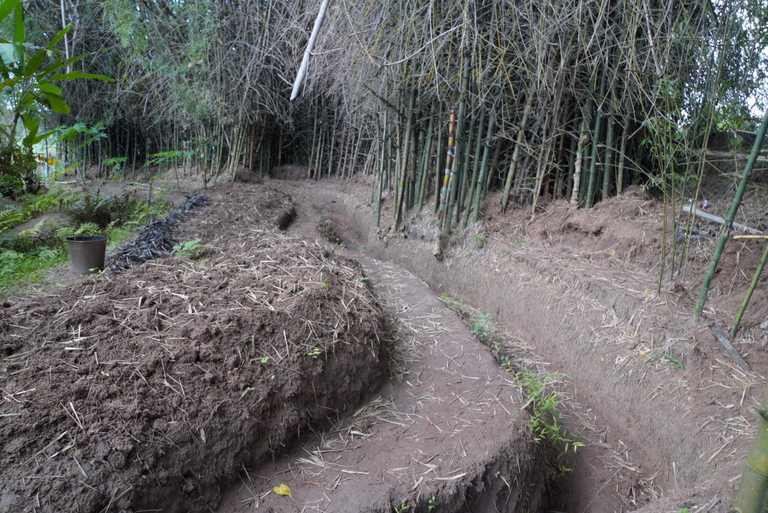 อธิบดี พช. เยี่ยมชมต้นแบบความสำเร็จการพัฒนาคุณภาพชีวิตตามหลักทฤษฎีใหม่ประยุกต์สู่ “โคก หนอง นา พช.” ด้วยพลังของคนรุ่นใหม่” ขยายความสุขสู่ชุมชน