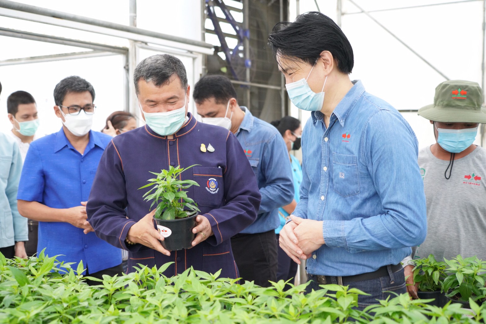 พช. จับมือ อีสท์ เวสท์ ซีด รับมอบ “ฟ้าทะลายโจร” สู้โรค ป้องกันโควิด-19 ควบคู่การรักษาแพทย์แผนปัจจุบัน