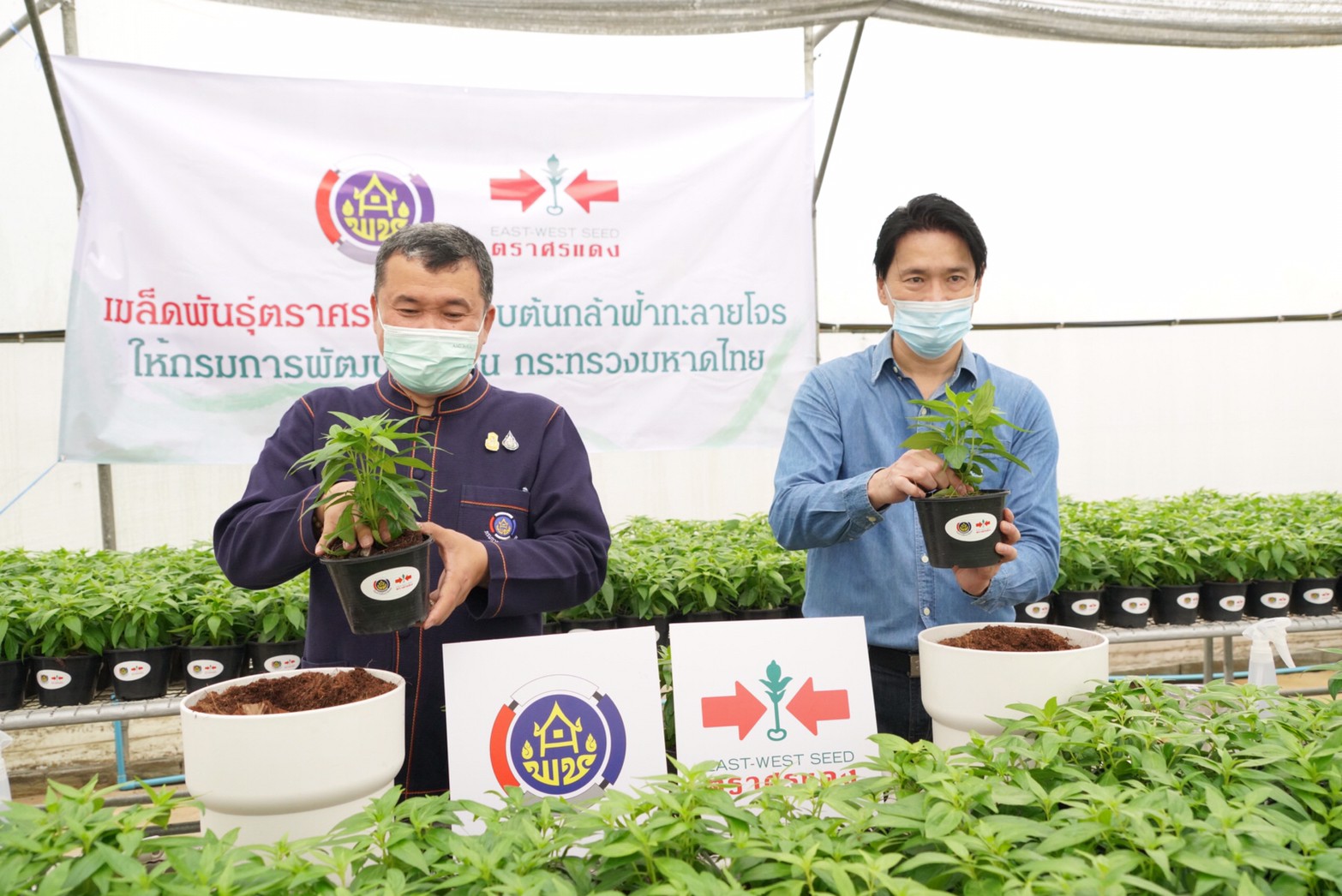 พช. จับมือ อีสท์ เวสท์ ซีด รับมอบ “ฟ้าทะลายโจร” สู้โรค ป้องกันโควิด-19 ควบคู่การรักษาแพทย์แผนปัจจุบัน