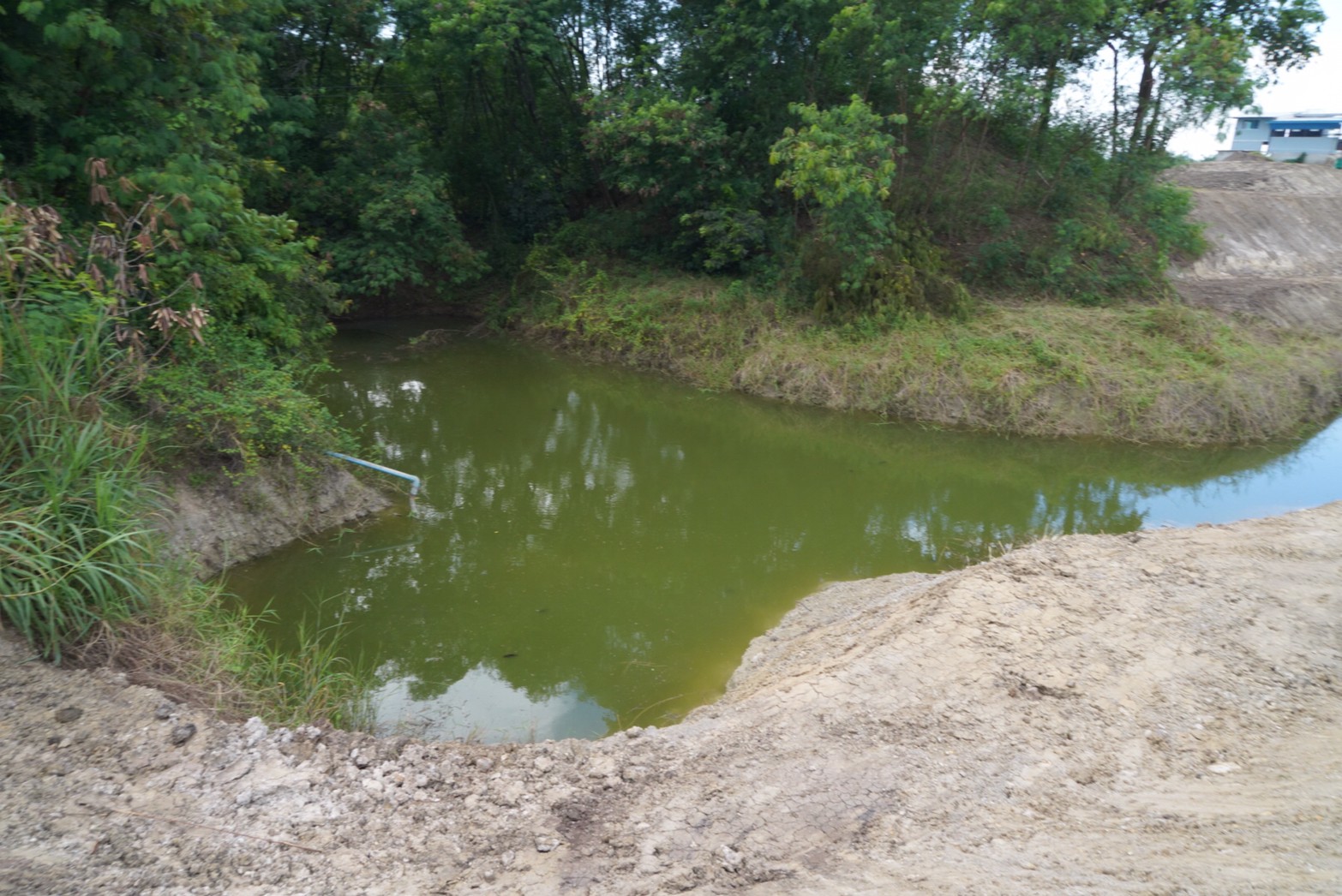 อธิบดี พช. เยี่ยมชมต้นแบบความสำเร็จการพัฒนาคุณภาพชีวิตตามหลักทฤษฎีใหม่ประยุกต์สู่ “โคก หนอง นา พช.” ด้วยพลังของคนรุ่นใหม่” ขยายความสุขสู่ชุมชน