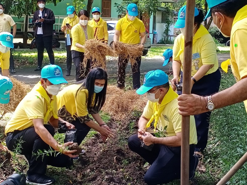 ศูนย์สารสนเทศฯ ร่วมโครงการรวมพลังจิตอาสาปลูกป่า พ.ศ. ๒๕๖๔ เนื่องในโอกาสวันรักต้นไม้ประจำปีของชาติ