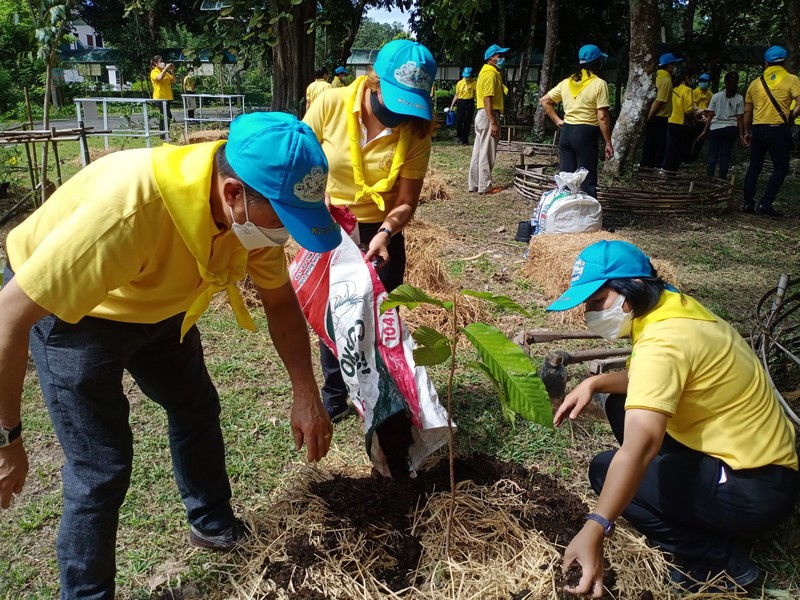 ศูนย์สารสนเทศฯ ร่วมโครงการรวมพลังจิตอาสาปลูกป่า พ.ศ. ๒๕๖๔ เนื่องในโอกาสวันรักต้นไม้ประจำปีของชาติ