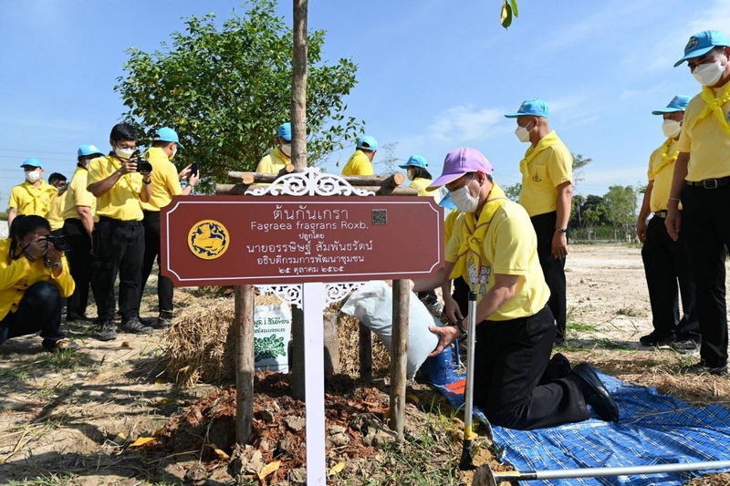 พช. รวมพลังจิตอาสา มุ่งมั่นทำความดี ด้วยหัวใจ ปลูกต้นไม้เพื่อชาติ ถวายราชสดุดีเนื่องในวันคล้ายวันพระราชสมภพสมเด็จพระศรีนครินทราบรมราชชนนี พร้อมจัดกิจกรรมเนื่องในวันรักต้นไม้ประจำปีของชาติ