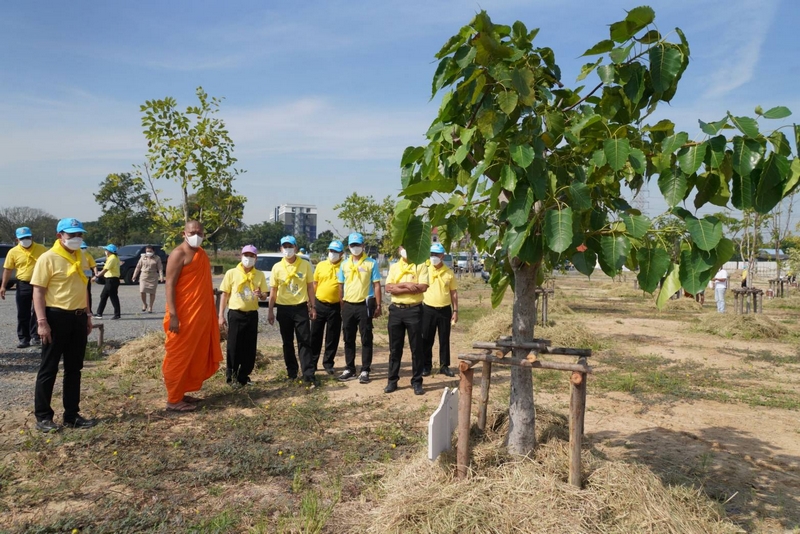พช. รวมพลังจิตอาสา มุ่งมั่นทำความดี ด้วยหัวใจ ปลูกต้นไม้เพื่อชาติ ถวายราชสดุดีเนื่องในวันคล้ายวันพระราชสมภพสมเด็จพระศรีนครินทราบรมราชชนนี พร้อมจัดกิจกรรมเนื่องในวันรักต้นไม้ประจำปีของชาติ