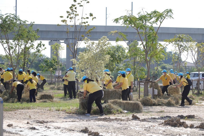 พช. รวมพลังจิตอาสา มุ่งมั่นทำความดี ด้วยหัวใจ ปลูกต้นไม้เพื่อชาติ ถวายราชสดุดีเนื่องในวันคล้ายวันพระราชสมภพสมเด็จพระศรีนครินทราบรมราชชนนี พร้อมจัดกิจกรรมเนื่องในวันรักต้นไม้ประจำปีของชาติ