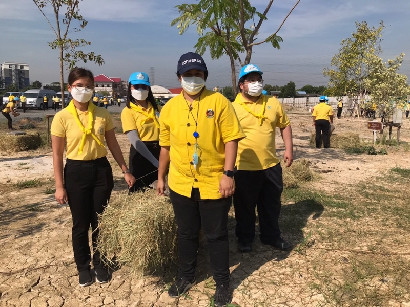 ศูนย์สารสนเทศฯ ร่วมกิจกรรมปลูกต้นไม้เพื่อชาติ ถวายราชสดุดีเนื่องในวันคล้ายวันพระราชสมภพสมเด็จพระศรีนครินทราบรมราชชนนี พร้อมจัดกิจกรรมเนื่องในวันรักต้นไม้ประจำปีของชาติ