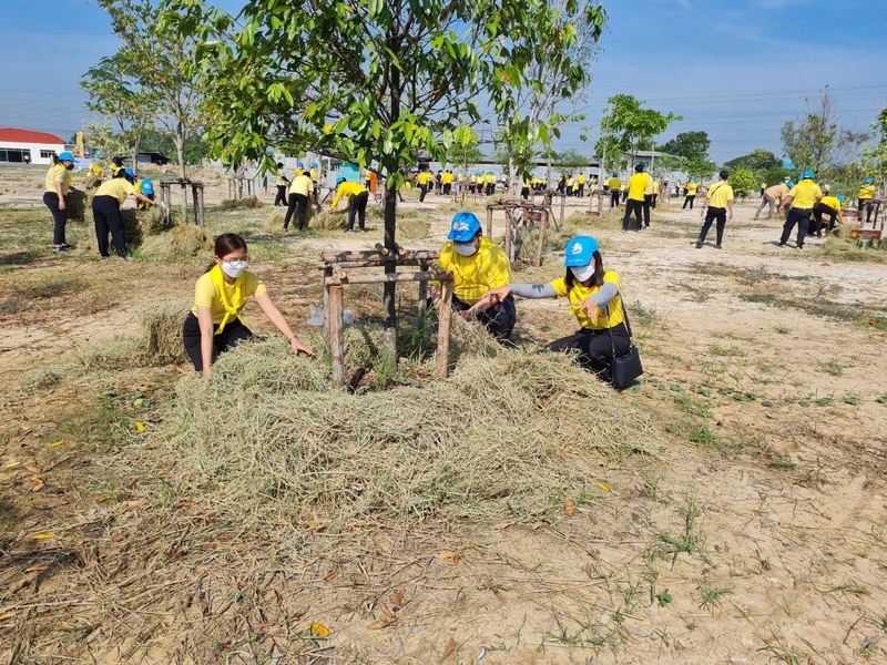 ศูนย์สารสนเทศฯ ร่วมกิจกรรมปลูกต้นไม้เพื่อชาติ ถวายราชสดุดีเนื่องในวันคล้ายวันพระราชสมภพสมเด็จพระศรีนครินทราบรมราชชนนี พร้อมจัดกิจกรรมเนื่องในวันรักต้นไม้ประจำปีของชาติ