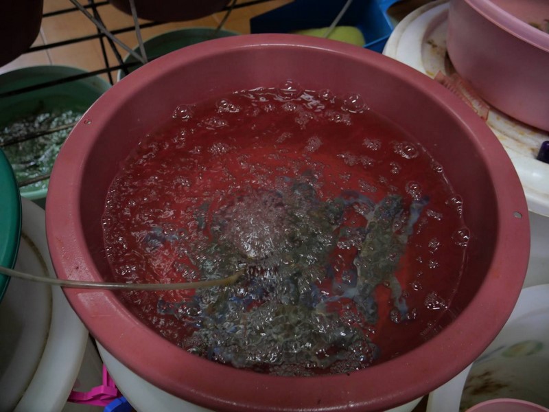 อธิบดี พช. ชวนเที่ยวสถานที่ท่องเที่ยวชุมชนชายทะเลสุดเก๋ ในสไตล์ชุมชนท่องเที่ยว OTOP นวัตวิถี บ้านตลาดบางสเหร่ ที่อำเภอสัตหีบ